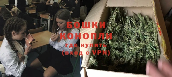 мескалин Арсеньев